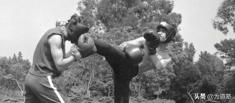 格斗界举足轻重的人物评价李小龙,史泰龙回忆李小龙的功夫有多厉害