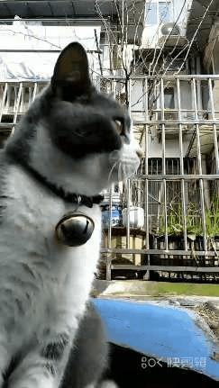 快剪辑app使用教程全集,快剪辑app手机版下载