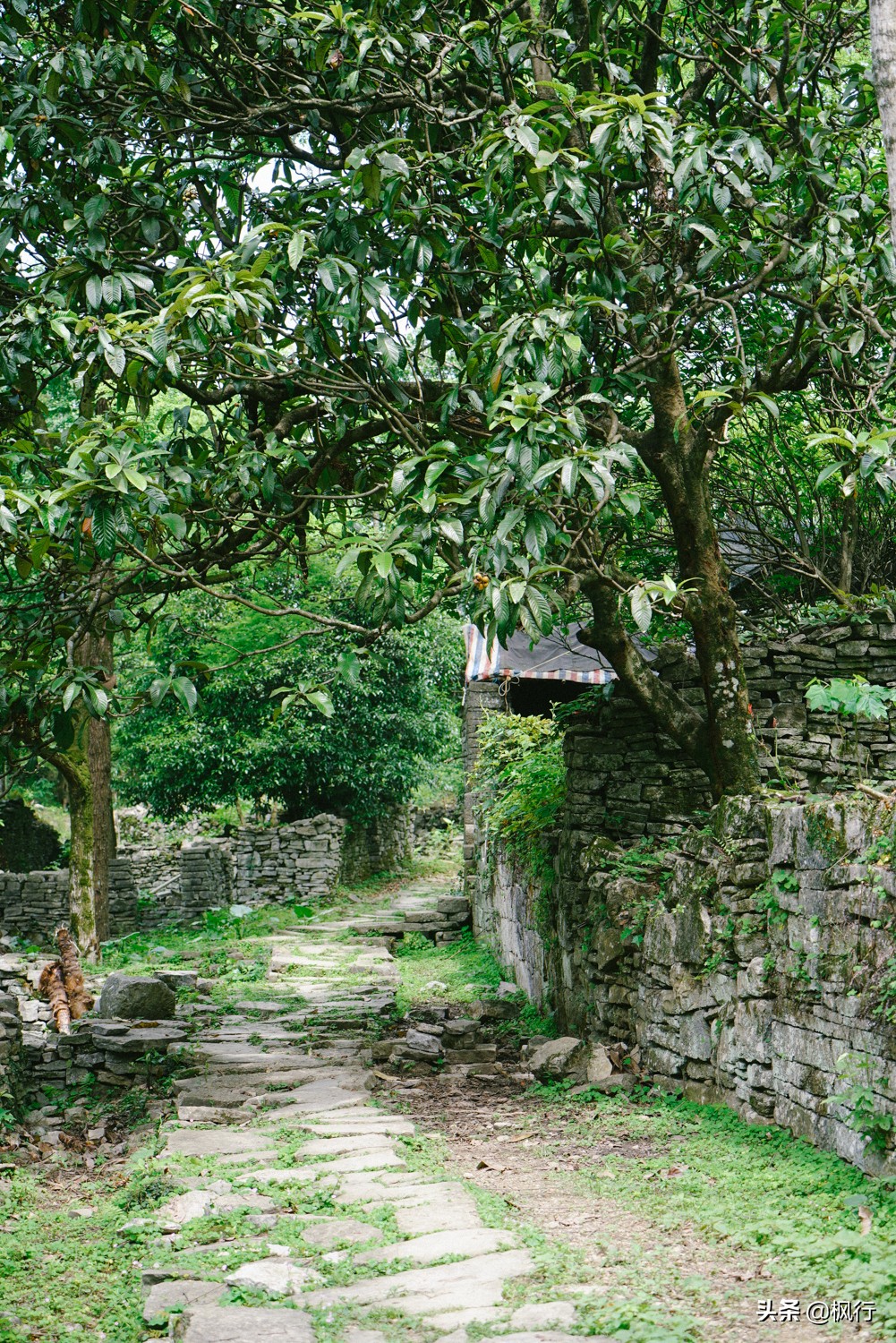 桂林阳朔旅游攻略一天半,最详细桂林阳朔旅游攻略