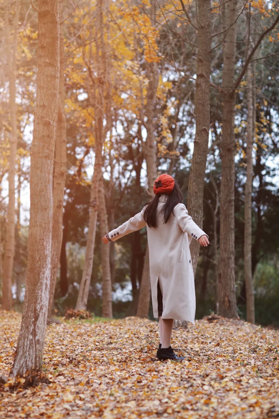 闃虫緞婀栨矙瀹舵禍鐖婇浮,涓轰簡澶ч椄锜规潵鍒伴槼婢勬箹