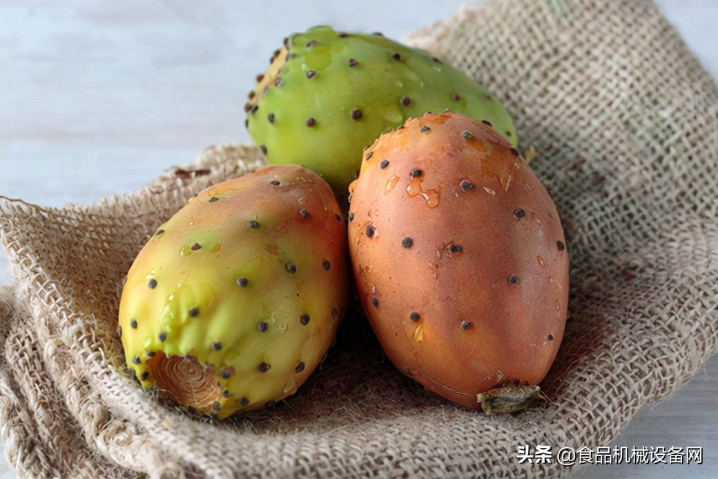 仙人掌果去毛刺,仙人掌果实清洗机器