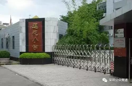 深圳贵族小学,深圳贵族小学排名前十名