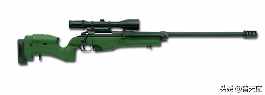 世界十大现役*击狙**步枪！