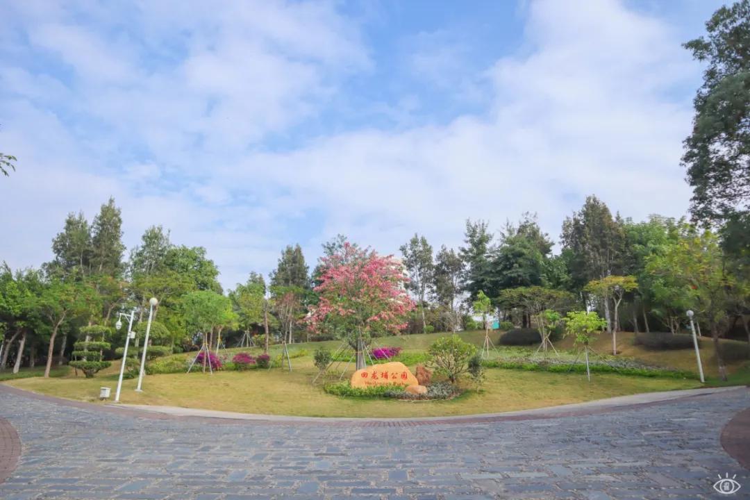 深圳儿童乐园要预约吗,深圳儿童乐园室内免费游乐场