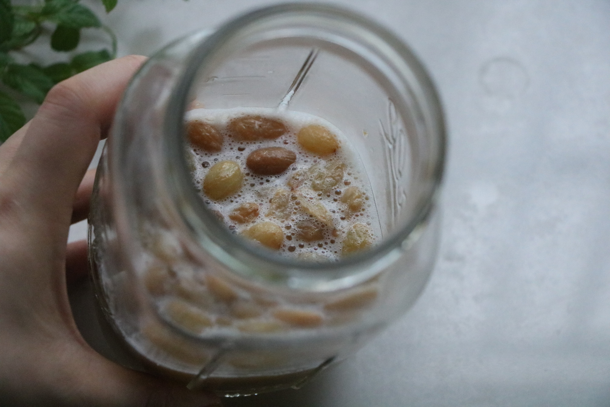 做包子用高酵母还是低酵母,如何用高活性干酵母做包子