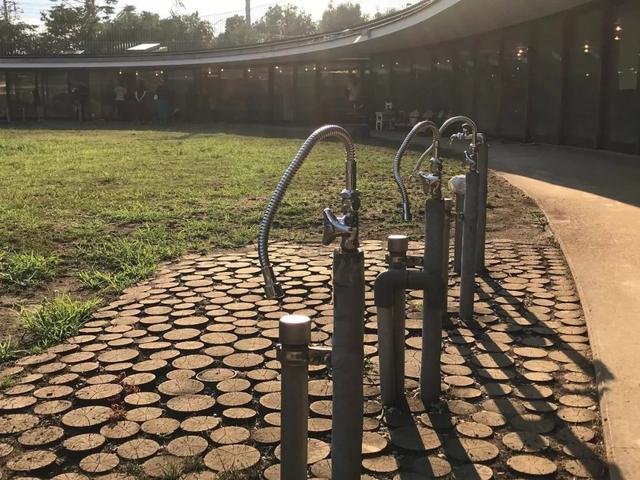 精诚实验幼儿园,精诚实验学校幼儿园