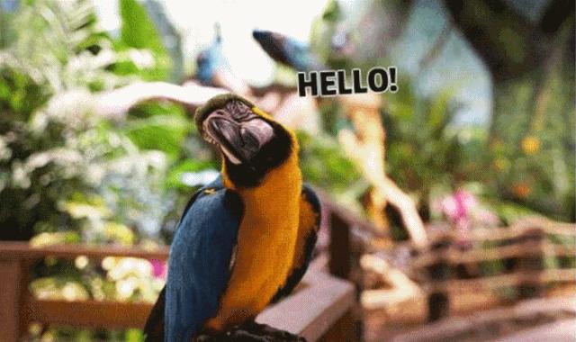 合肥动物园值得看的地方,合肥最好玩的动物园是哪