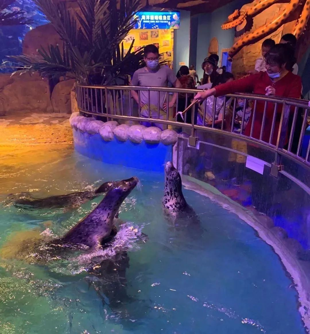 2020儿童滑步车赛事嘉年华,2023中国儿童滑步车超级联赛计划