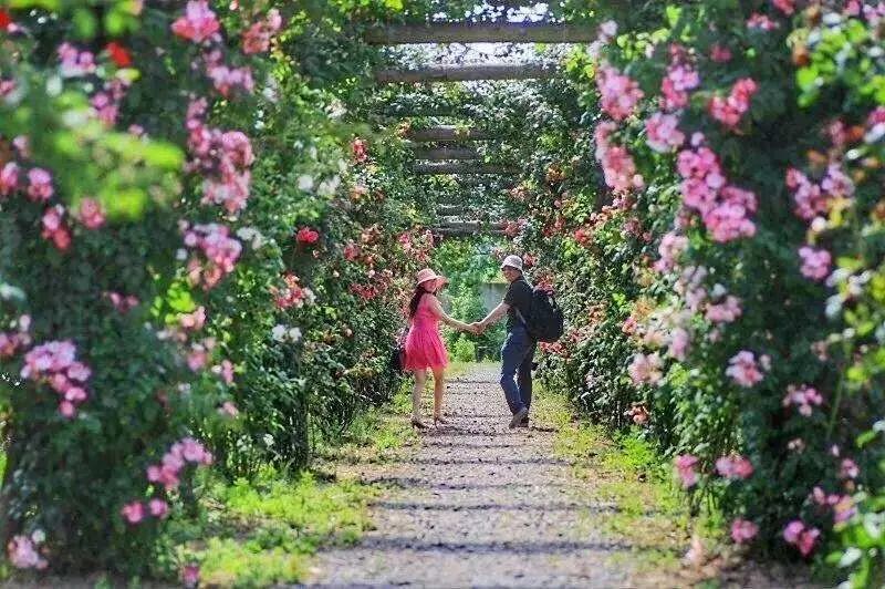 彭山景区活动购票,常德彭山景区游玩攻略图