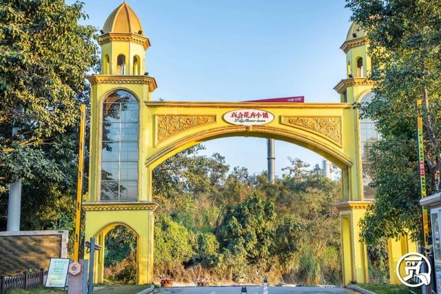 深圳花店有什么花,深圳龙华花店订花送花