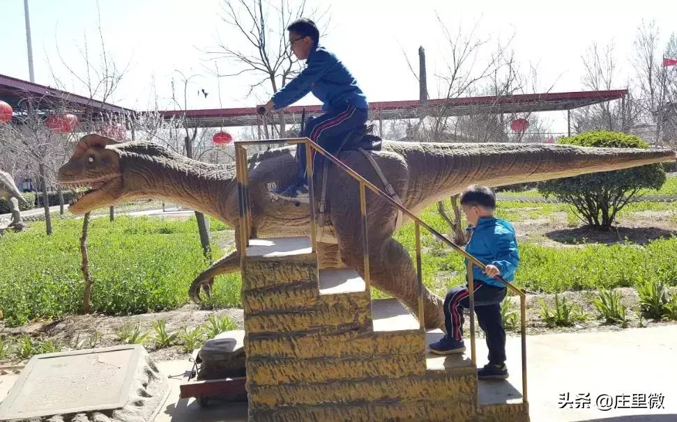 石家庄藁城旅游团,藁城周边免费一日游的绝佳去处