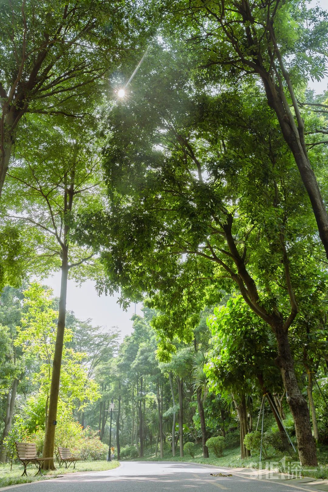 深圳卖衣服的商场,深圳的商场有哪些