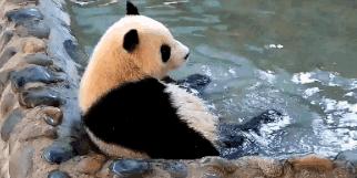 你才可爱你全家都可爱怎么回,你才可爱你全家都可爱出处