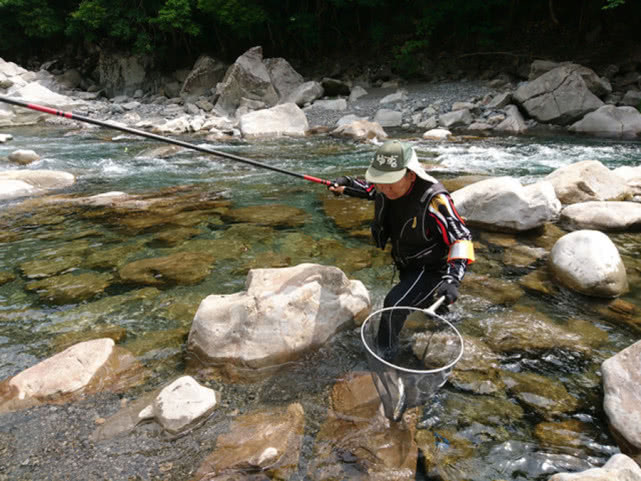 日本人认为最好吃的鱼,日本最好吃的几种鱼