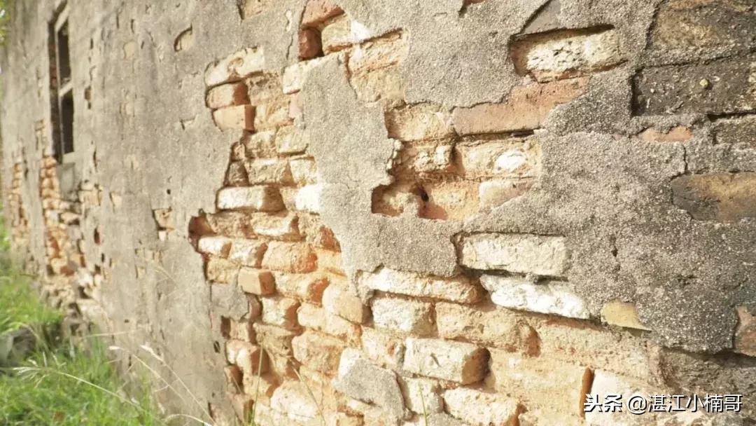 广东湛江革命村视频,湛江革命老区名单