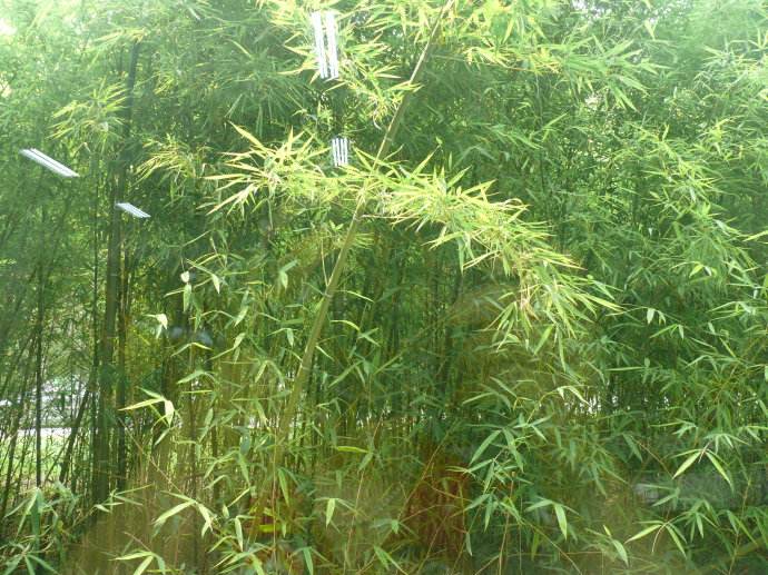 潍坊一中绝美照片,一中美丽景色