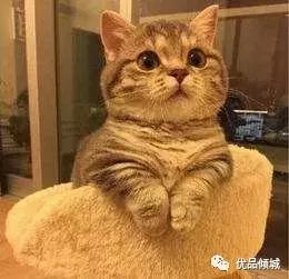 妆感觉卸不干净,卸不干净妆有什么感觉