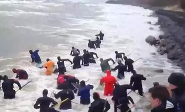 俄罗斯珠宝中国专卖,俄罗斯珠宝店加价