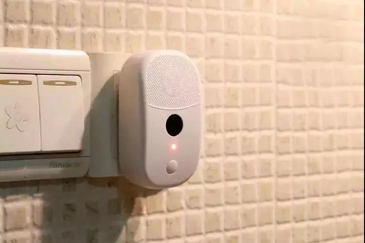 床上有螨虫放什么东西能除螨,床上螨虫和细菌最怕什么