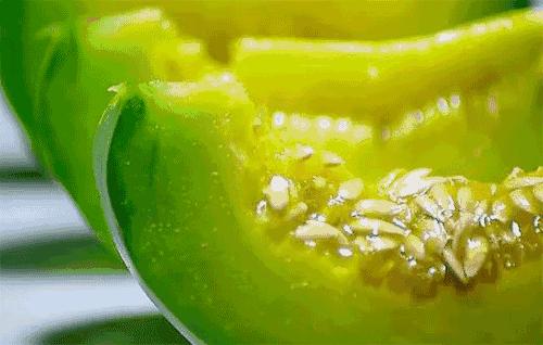 七月当季水果吃什么,七月便宜的当季水果推荐