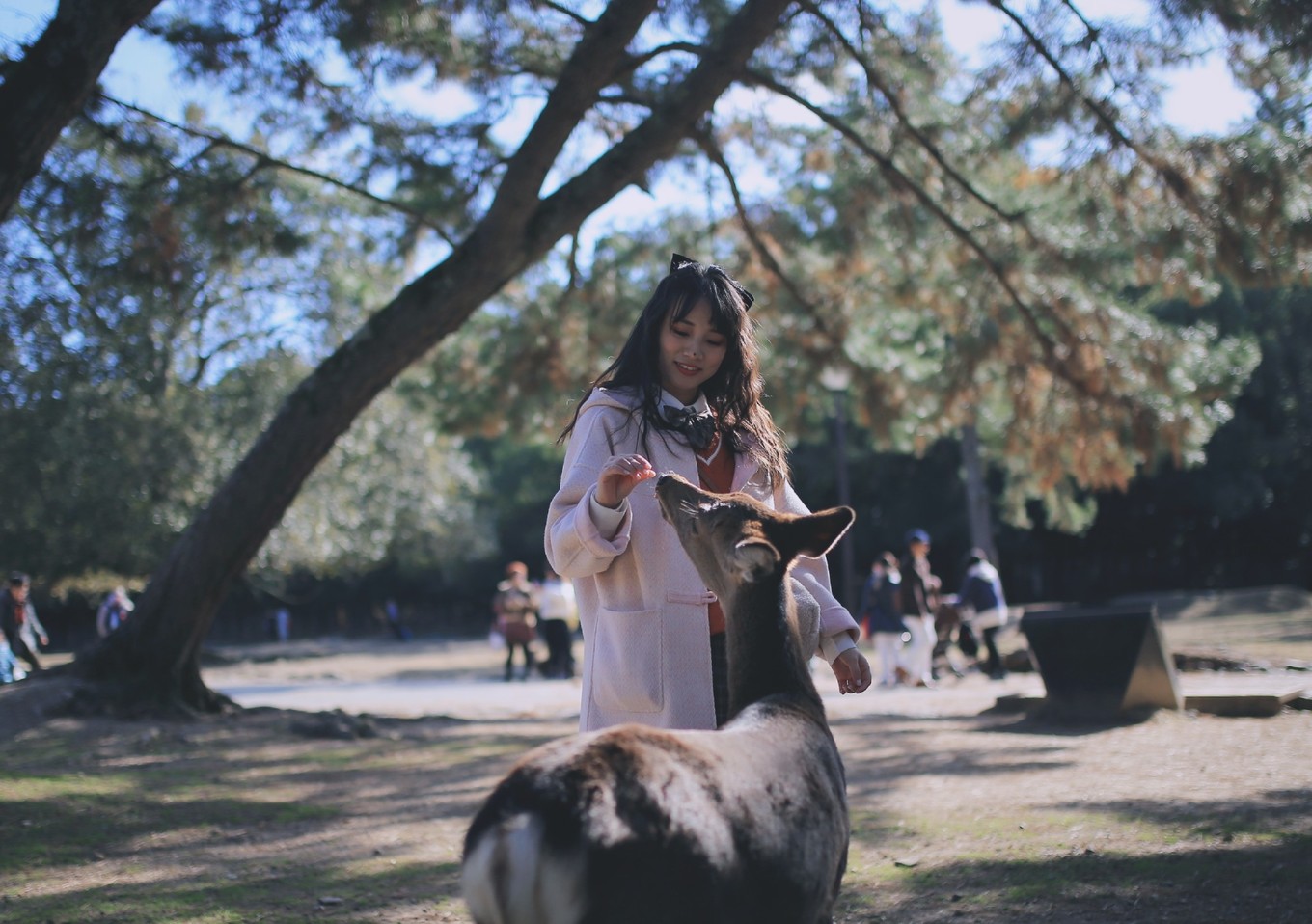 六月日本北海道风光,日本北海道几月去比较好