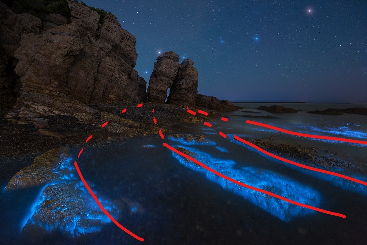 拍摄荧光海滩参数和技巧,夜晚怎么拍荧光海