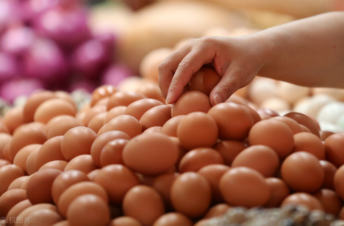 买鸡蛋挑白壳还是红壳,买红壳鸡蛋还是白壳鸡蛋好