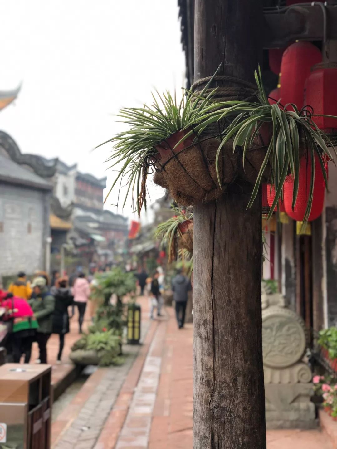 成都洛带博客小镇,成都博客小镇