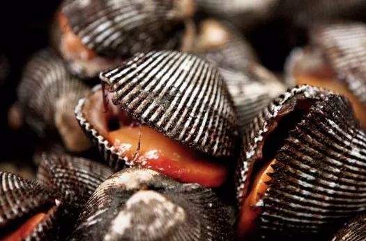 秦皇岛海鲜攻略,秦皇岛淡季海鲜攻略