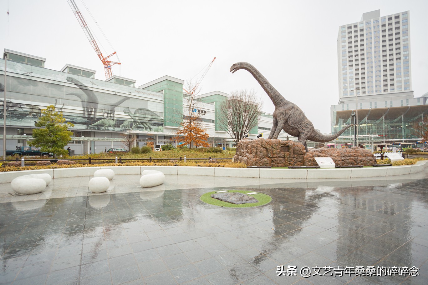 冬季日本的自驾游攻略,冬日游日本名古屋攻略