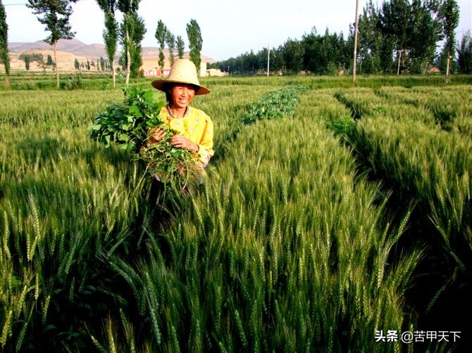 为我的家乡会宁点赞,甘肃会宁老家乡村记忆