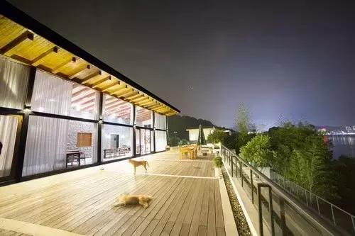 40岁大叔钓鱼,40岁大叔买下一座岛