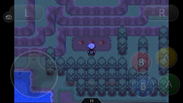 究极绿宝石一周目神兽攻略 (究极绿宝石5一周目能不能mega进化)