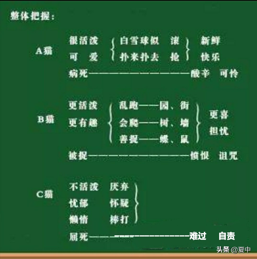 肖家芸个人资料,特级教师窦桂梅教学实录