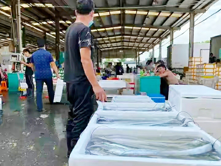 买带鱼黄眼睛和黑眼睛哪种最好,带鱼是黄眼睛好还是黑眼睛好吃