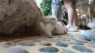 亲子家庭召集令|花miao大作战趣味玩法燃炸暑假