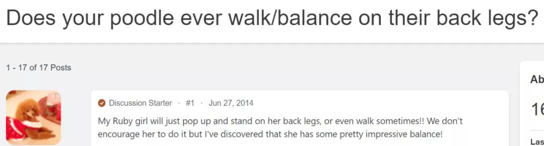 泰迪老是拱屁股怎么回事,泰迪头拱地脚刨地为什么