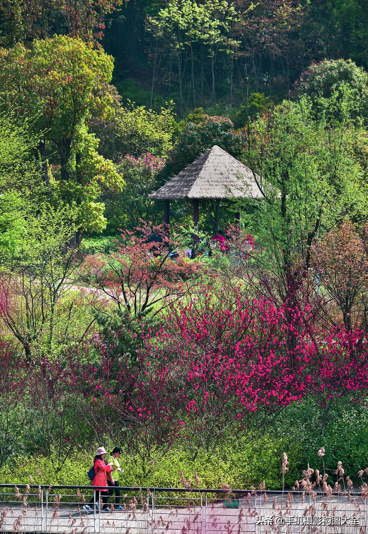 拍出好照片的简单摄影技巧,专业摄影技巧如何拍摄出精美照片