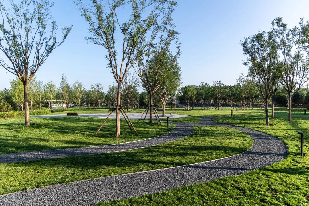 天津首创经中中国光年城中央公园,天津宁河光年城中央公园结构