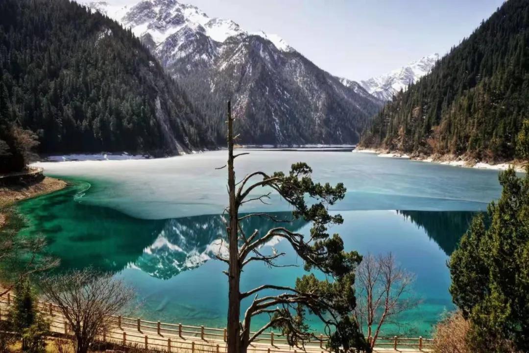 趁春意来赏油菜花海,趁春光去野游