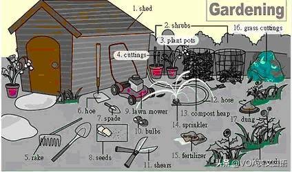 30张场景单词图，教你记住高频生活词（建议收藏）（下）