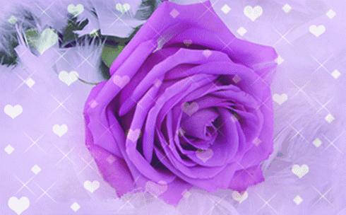 对老公再好他都不会心疼你,有的时候你做的再好也没人心疼你