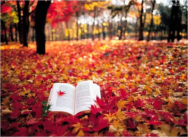 演技靠运气,演技全靠你自己句子