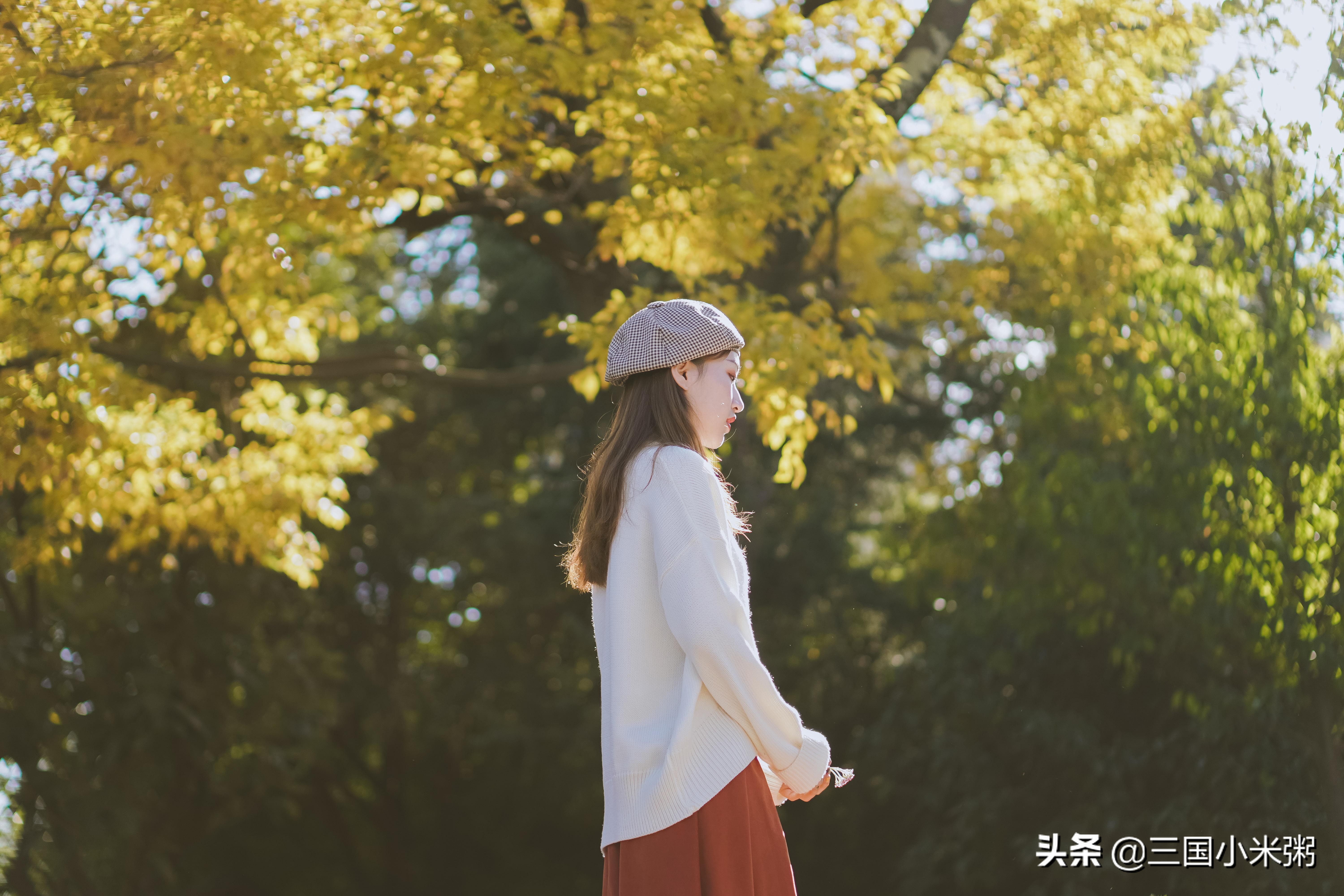 索尼微单a6100使用教程,索尼微单alpha7iv