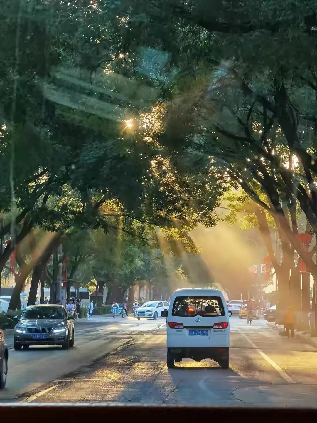 手拍世界809期获奖作品名次,手拍世界投稿