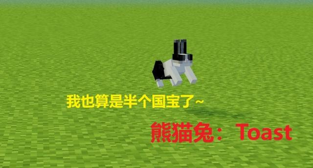 我的世界变色羊毛命名牌,我的世界名字牌超大版