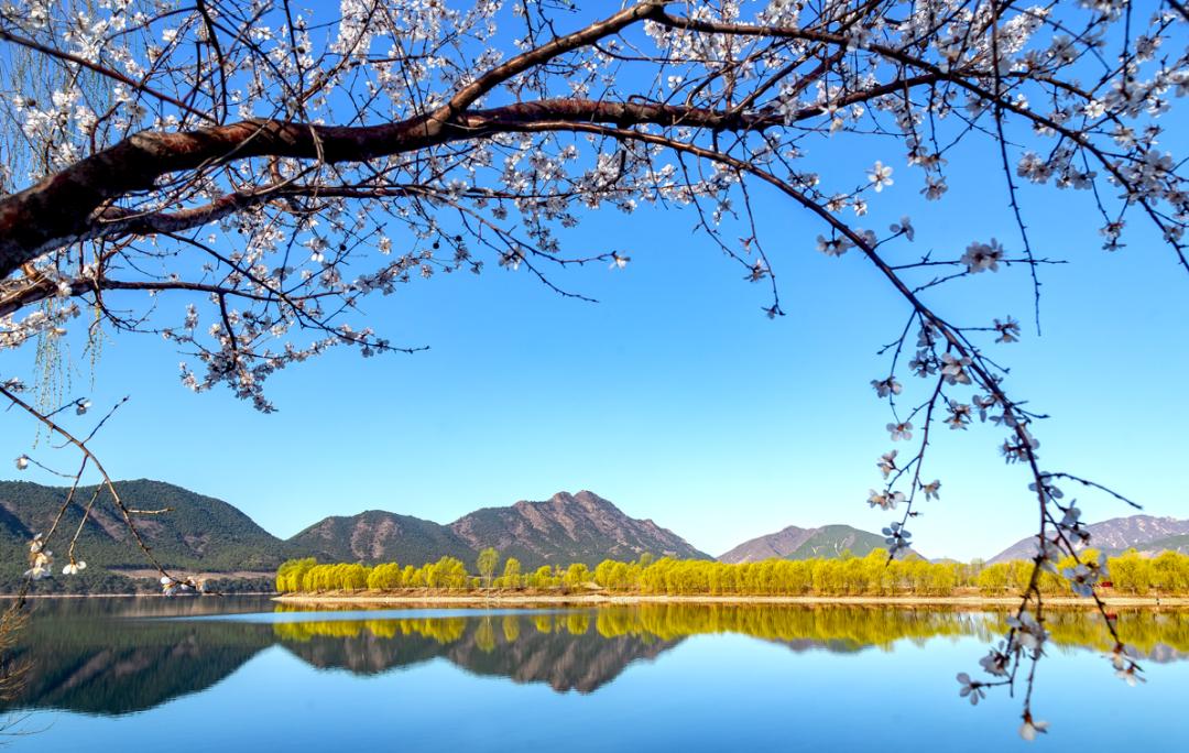 福地东陵驻吉祥  百福万庆迎辛丑