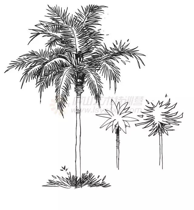 速写不难五分钟教你学会画速写,速写零基础初学者入门教程