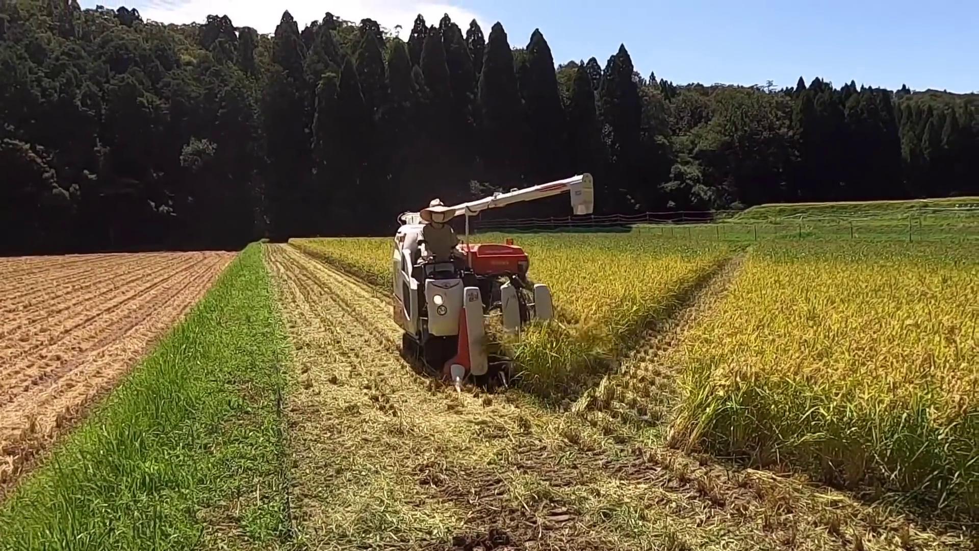 久保田230收割机一小时能割多少亩,久保田小型收割机2023新款价目表
