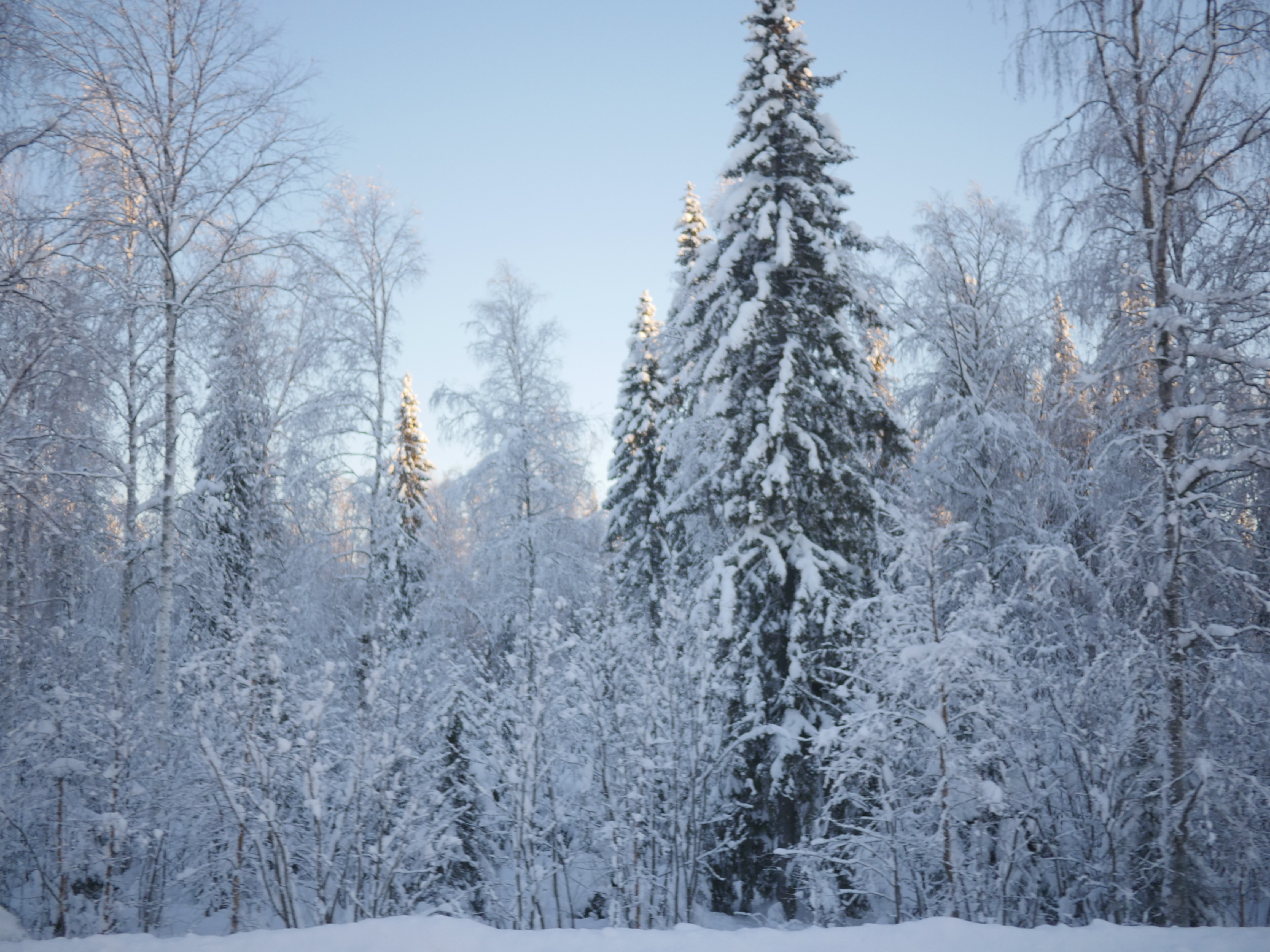 寒冬将至，2019冬季的魔力Taikatalvi-芬兰冬季文化营回顾